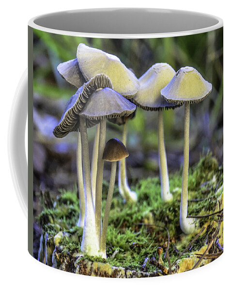 Nature Coffee Mug featuring the photograph Family of Mushrooms by WAZgriffin Digital