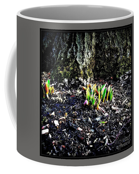 Midwest America Coffee Mug featuring the photograph Must Be Spring by Frank J Casella