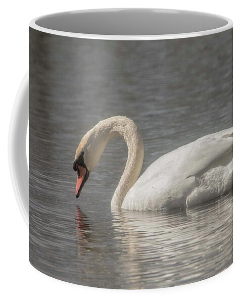 Mute Swan Coffee Mug featuring the photograph Mute Swan by David Bearden