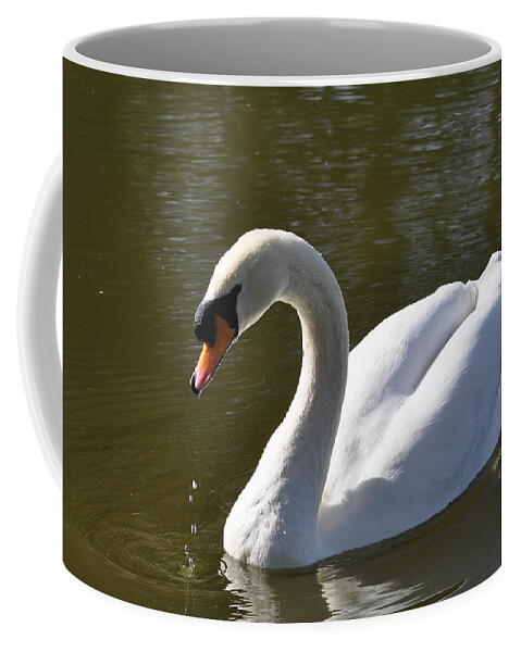 Outdoors Coffee Mug featuring the photograph Mute Swan on Rolleston Pond by Rod Johnson