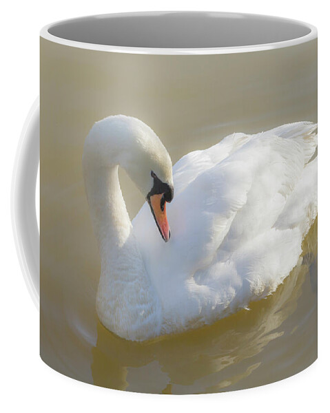 Swan Coffee Mug featuring the photograph Mute Swan by Tanya C Smith