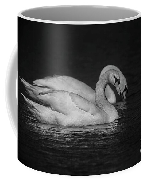 Black And White Coffee Mug featuring the photograph Mute Swans in Black and White by David Bearden