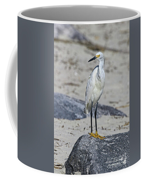 Egret Coffee Mug featuring the photograph My Beach Pose by Deborah Benoit
