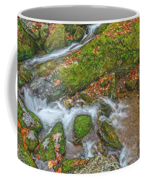 Crabtree Falls Coffee Mug featuring the photograph My Life Looks Like A Test I Didn't Study For. by Bijan Pirnia