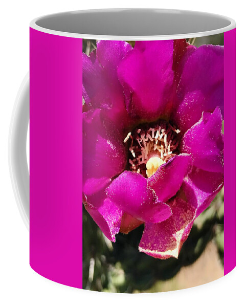 Cactus Coffee Mug featuring the photograph My Petals Runneth Over by Brad Hodges