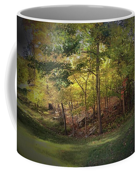 Woods Coffee Mug featuring the photograph My Woodlands Ver 2 by Larry Mulvehill