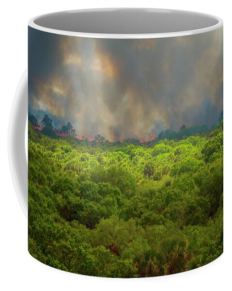 North Port Florida Coffee Mug featuring the photograph Myakka River Burn by Tom Singleton