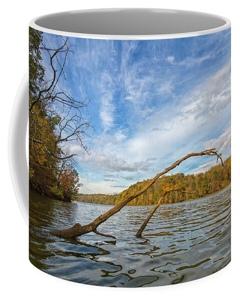 Fall Coffee Mug featuring the photograph Myers Creek 2 by Alan Raasch