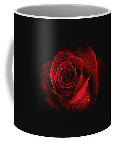 Roses Coffee Mug featuring the photograph Mysterious by Elaine Malott