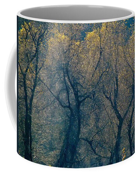 Trees Coffee Mug featuring the photograph Mystic Trees by Liz Vernand