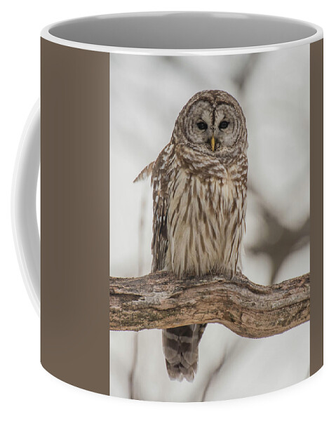 Nature Coffee Mug featuring the photograph Mystical Moment by Jody Partin
