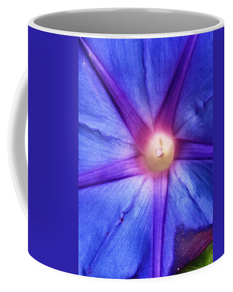 Blue Coffee Mug featuring the photograph Mystical Star by Brad Hodges