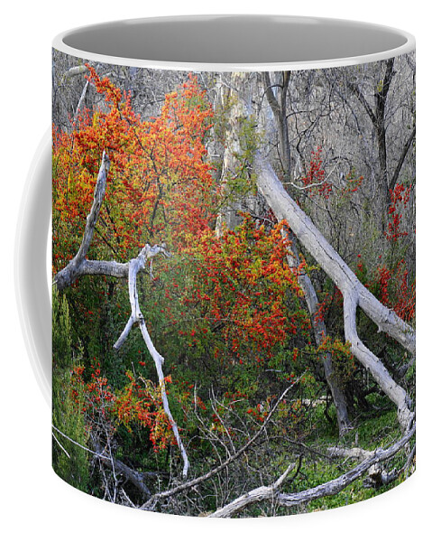 Berries Coffee Mug featuring the photograph Mystical Woodland by Tranquil Light Photography