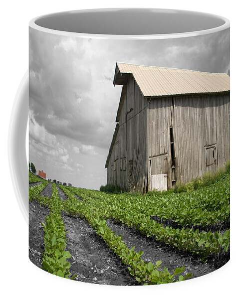 Landscape Coffee Mug featuring the photograph N 1650 East by Dylan Punke