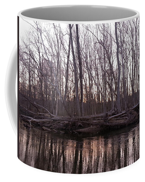 Landscape Coffee Mug featuring the photograph Naked by Dani McEvoy