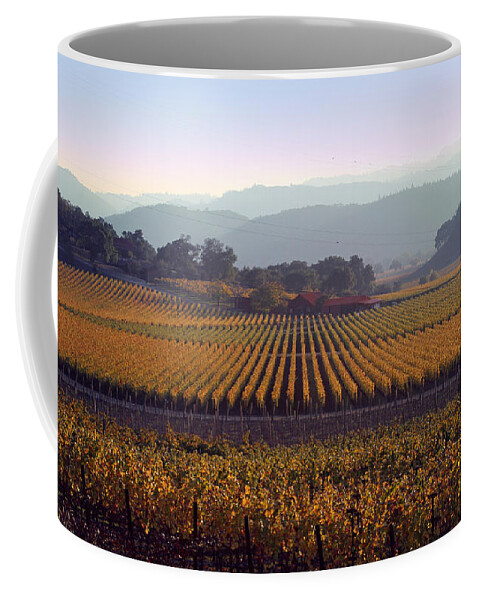Landscape Coffee Mug featuring the photograph Napa Valley California 3 by Xueling Zou