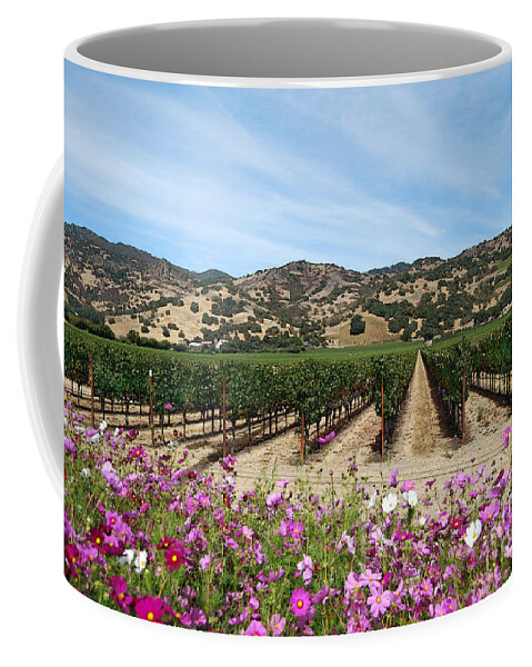 Grapes Coffee Mug featuring the photograph Napa Vineyard at Harvest Time by Catherine Sherman
