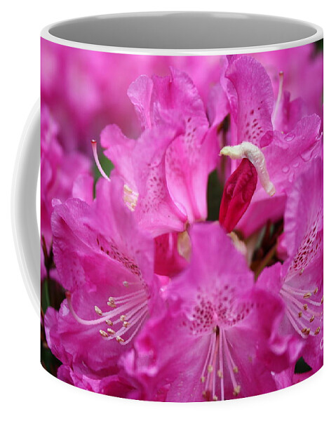 Flowers Coffee Mug featuring the photograph Napolians Hat by Edward R Wisell