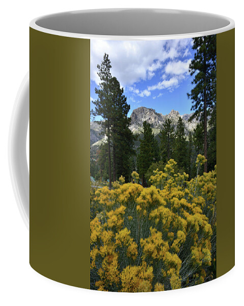 Humboldt-toiyabe National Forest Coffee Mug featuring the photograph Natural Area Beneath Mt. Charleston by Ray Mathis