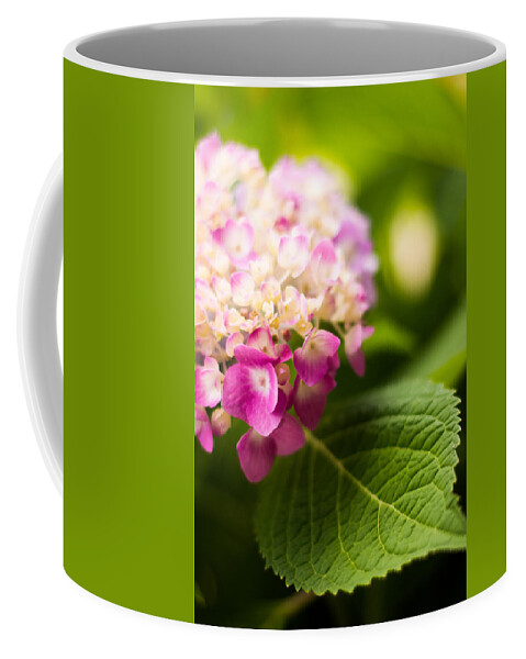 Hydrangea Coffee Mug featuring the photograph Natural Beauty by Parker Cunningham