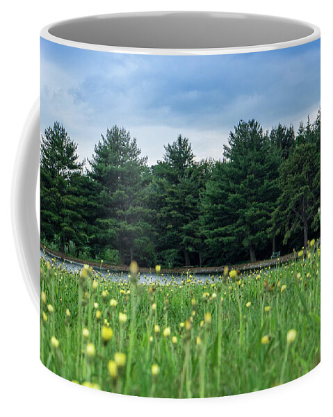 Nature Coffee Mug featuring the photograph Evergreen Lake - A Groundhog View by Jason Fink