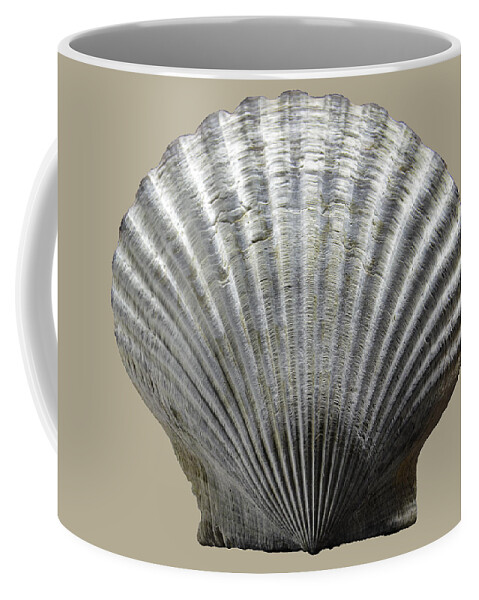 Sea Coffee Mug featuring the photograph Natural Shell by WAZgriffin Digital