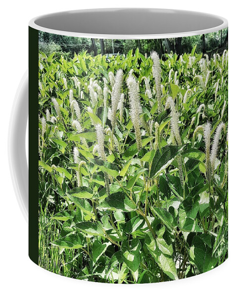 Nature Coffee Mug featuring the photograph Natural Vision by Rachel Hannah