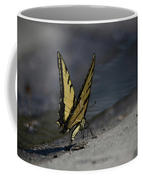 #butterfly- Swallowtail - Images Wings- Images Of Rae Ann M. Garrett- Art-#butterflys-swallowtail-unique Coffee Mug featuring the photograph Nature and man reflects by Rae Ann M Garrett