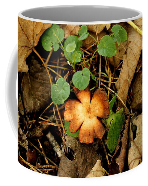 Horizon Coffee Mug featuring the photograph Nature art by Lukasz Ryszka