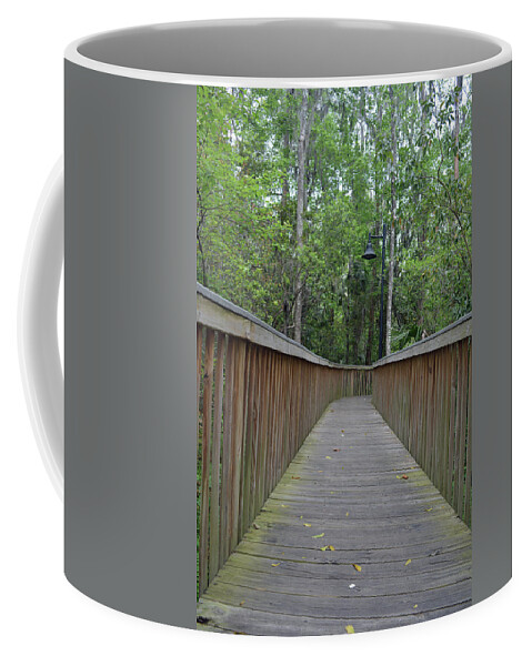 Nature Coffee Mug featuring the photograph Nature Boardwalk by Aimee L Maher ALM GALLERY