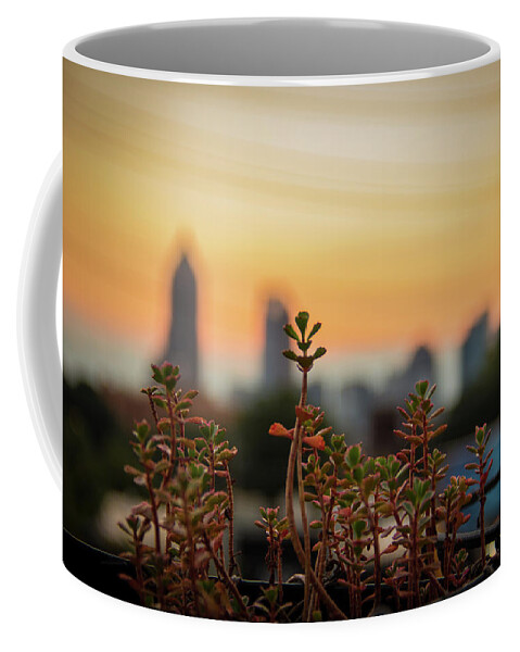 Nature Coffee Mug featuring the photograph Nature in the City by Kenny Thomas
