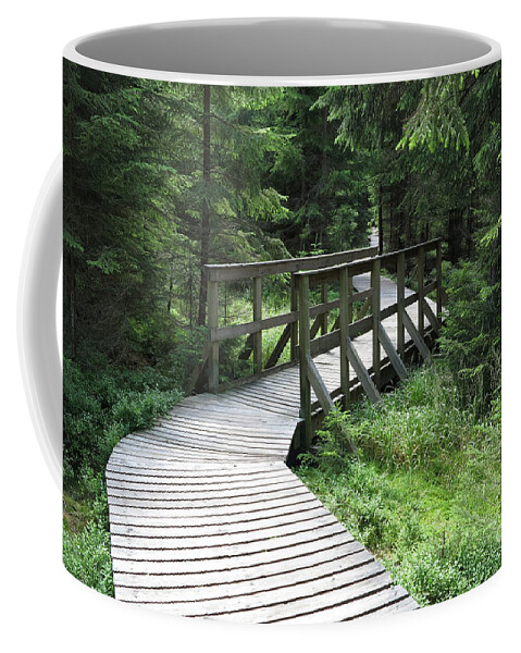 Kaiserwald Coffee Mug featuring the photograph Nature trail in a nature reserve Kladska by Michal Boubin