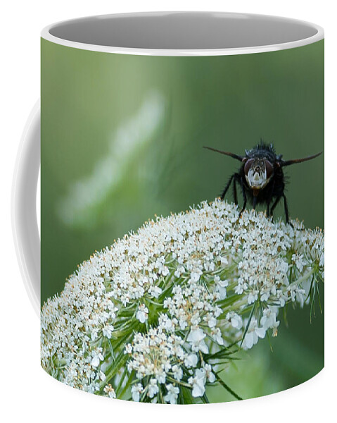 Plant Coffee Mug featuring the photograph Nature Up Close by Holden The Moment