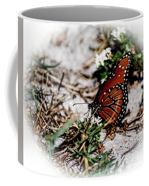 Butterflys Coffee Mug featuring the photograph Natures Beauty by Rick Redman