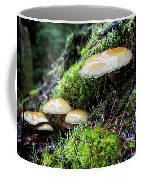 Mushroom Coffee Mug featuring the photograph Nature's Little Helpers by Belinda Greb