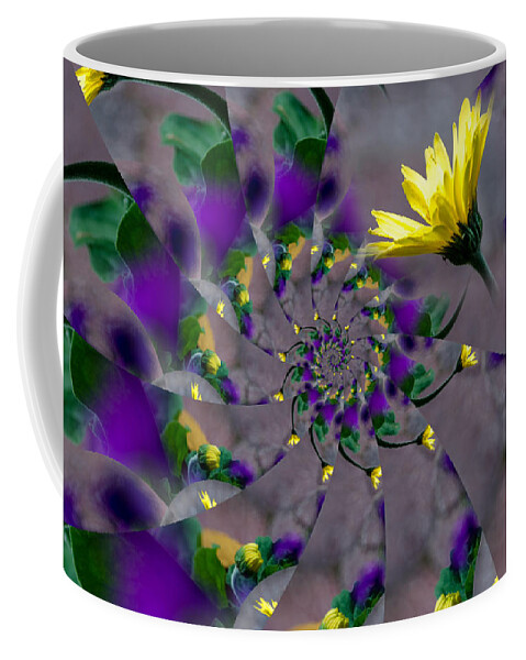 Nautilus Swirls Coffee Mug featuring the photograph Nautilus Swirls by Debra Martz