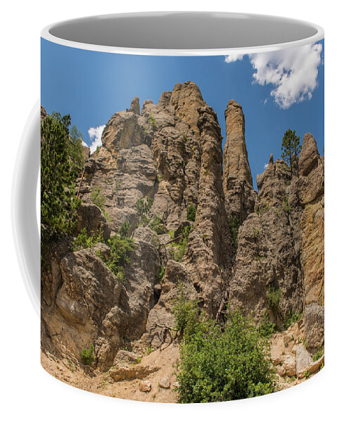 Brenda Jacobs Fine Art Coffee Mug featuring the photograph Needles in Custer State Park by Brenda Jacobs