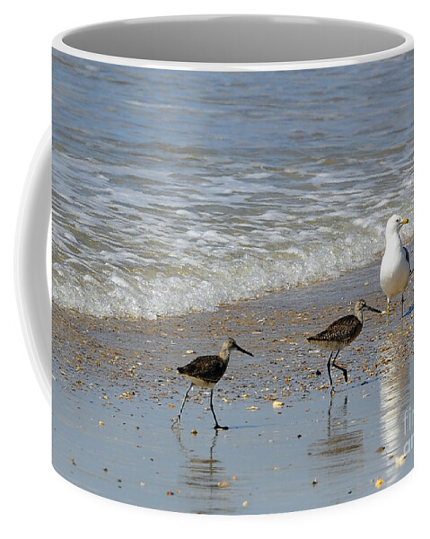 Birds Coffee Mug featuring the photograph Outer Banks OBX #11 by Buddy Morrison