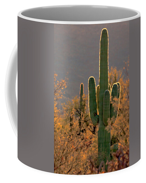 Cactus Coffee Mug featuring the photograph Neon Saguaro #2 by Susan Rissi Tregoning