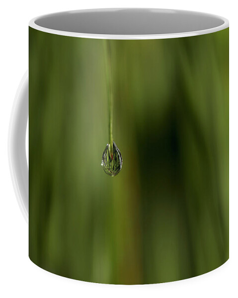 Water Drop Coffee Mug featuring the photograph Never Let Go by Mike Eingle
