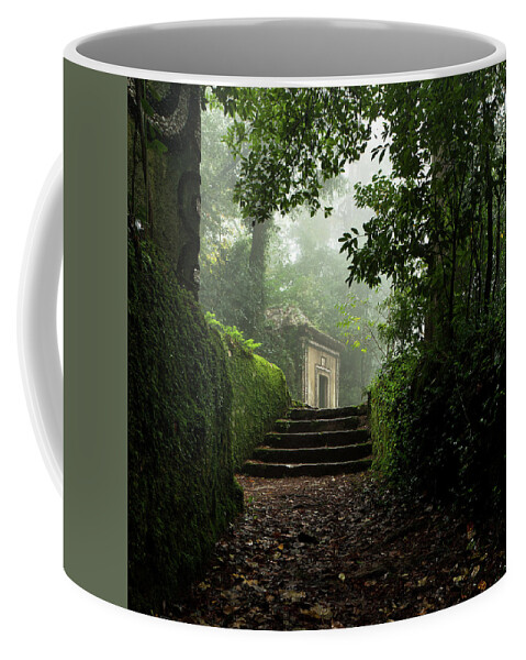 Woods Coffee Mug featuring the photograph Neverland by Jorge Maia