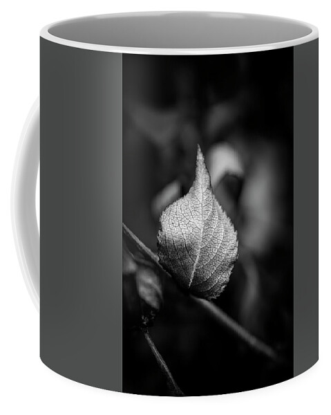 Blumwurks Coffee Mug featuring the photograph Nevermore by Matthew Blum