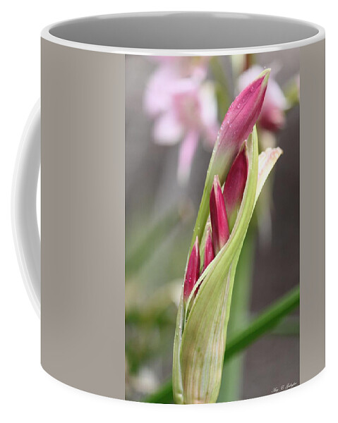 Daylily Coffee Mug featuring the photograph New Beginnings by Amy Gallagher