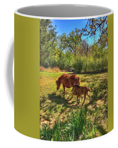 Horses Coffee Mug featuring the photograph New Birth by Doris Aguirre
