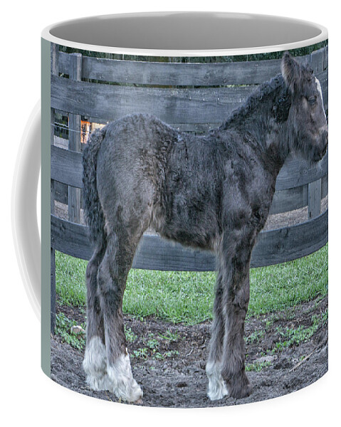 Baby Coffee Mug featuring the photograph New Born by Dennis Dugan