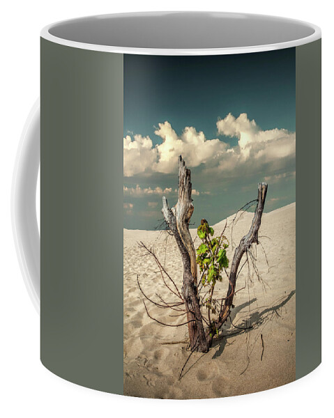 Art Coffee Mug featuring the photograph New Life Sprouting with Dead Trees and Cloudy Sky by Randall Nyhof