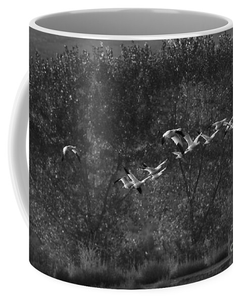 Birds Coffee Mug featuring the photograph New Mexico Light by John F Tsumas