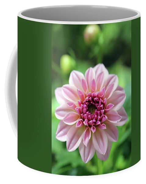 Flower Coffee Mug featuring the photograph New Mornings Bring New Flowers by Johanna Hurmerinta
