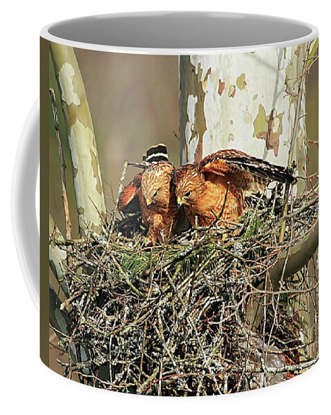 Hawks Coffee Mug featuring the photograph New Parents by Geraldine DeBoer