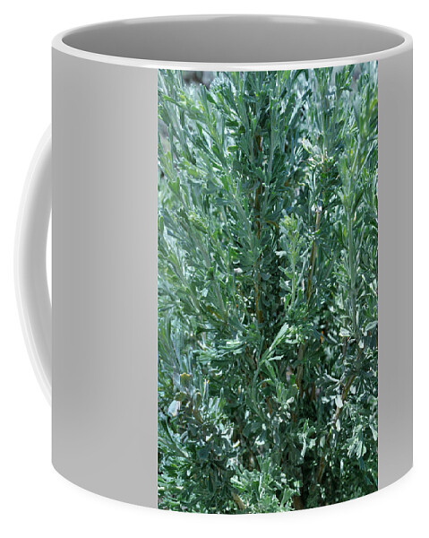Landscape Coffee Mug featuring the photograph New Sage by Ron Cline